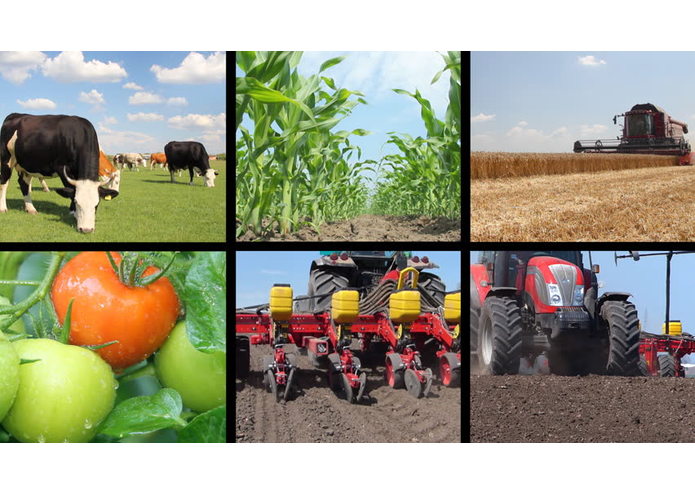 farm – screenshot 1