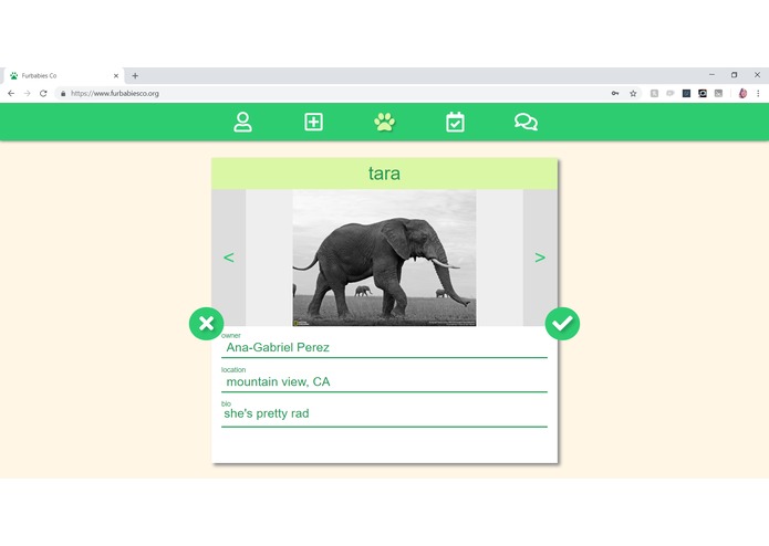 Furbabies Co – screenshot 3