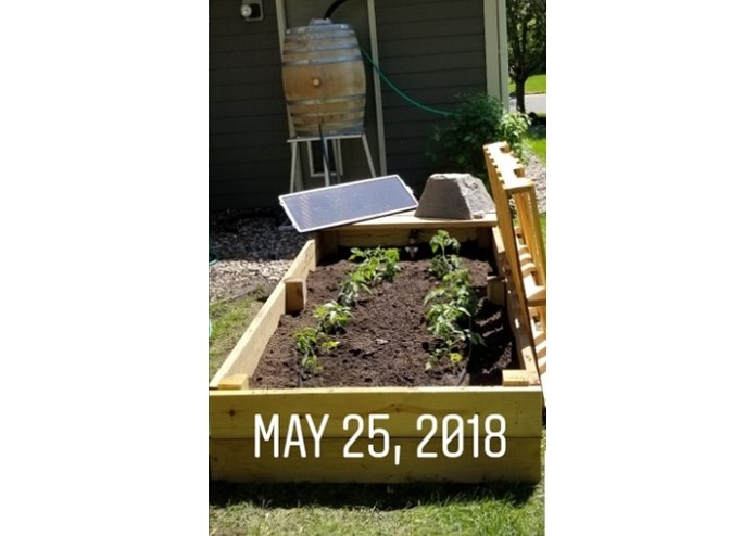 Gutters to Gardens – screenshot 2