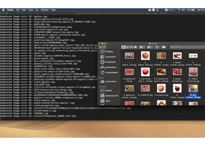 Viand-Detect – screenshot 1