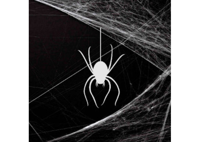 The Random Net – screenshot 1