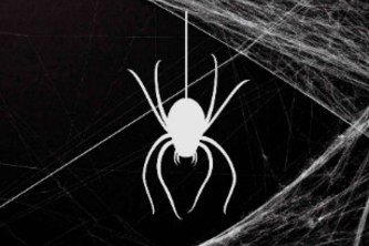 The Random Net