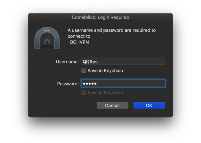 BCHVPN – screenshot 3