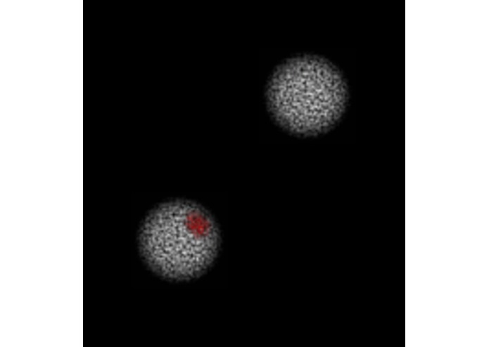 The Cacophony – screenshot 1