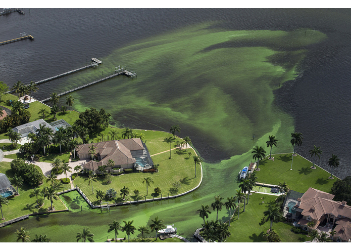 Mission IRL game – screenshot 20