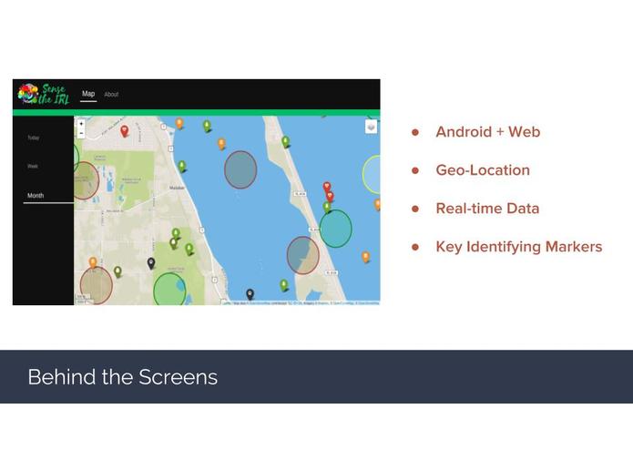 Sense the IRL – screenshot 6