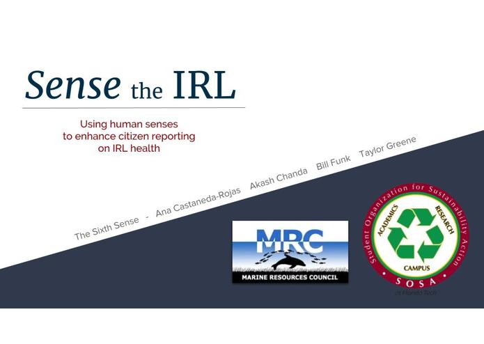 Sense the IRL – screenshot 3