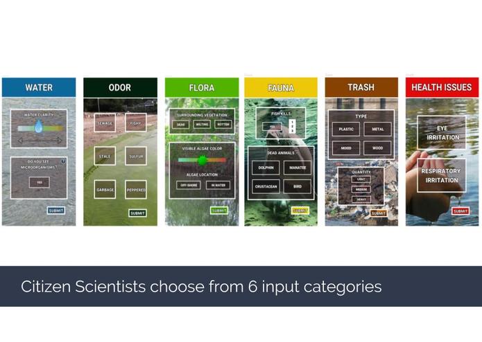 Sense the IRL – screenshot 5