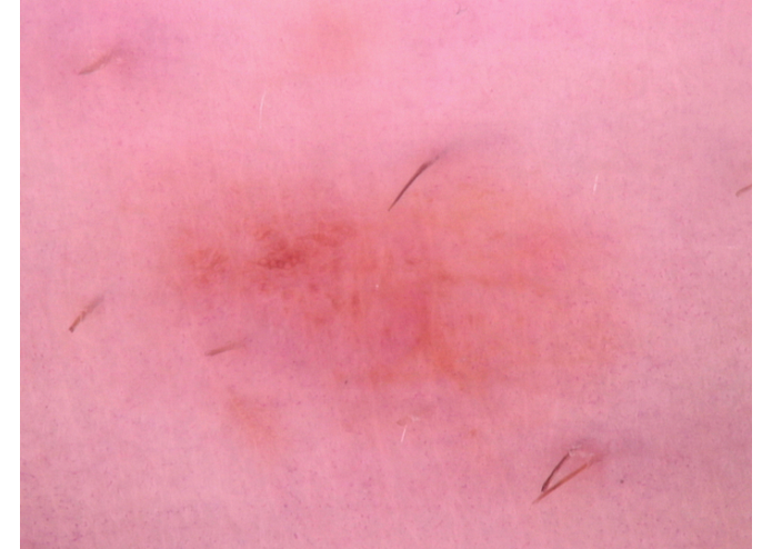 MelClassify – screenshot 5