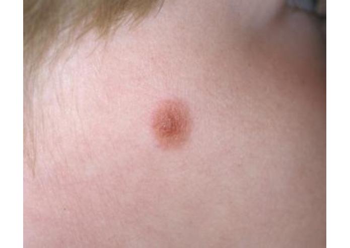 MelClassify – screenshot 6