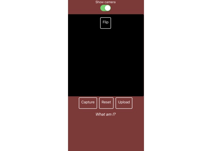 CarMan – screenshot 1