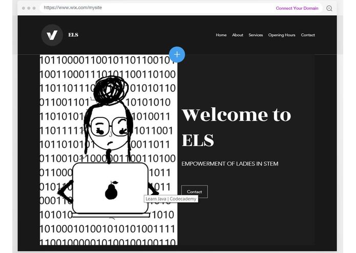 ELS – screenshot 3