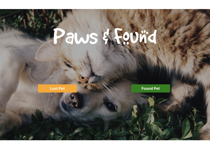 Paws and Found – screenshot 1