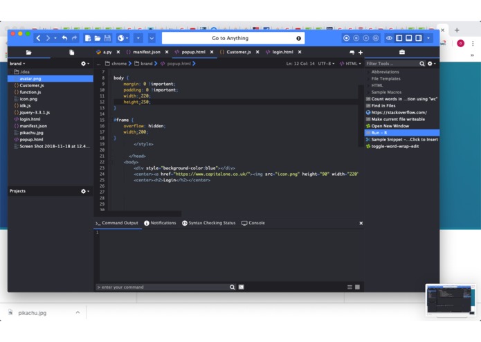 Capital One Chrome Extension (Pikachu Team - Table 8) – screenshot 1