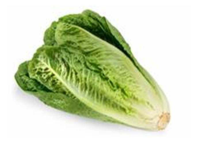 Domaine Lettuce – screenshot 1