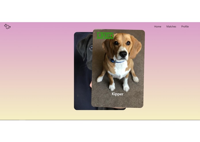 Tinder for Dog Adoption – screenshot 2