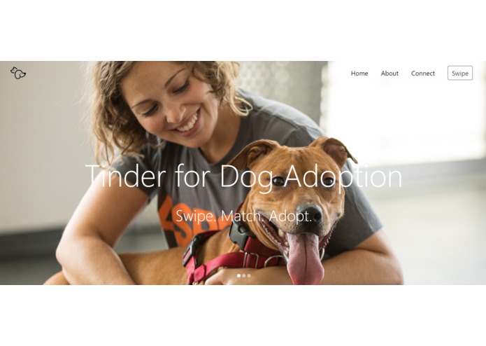 Tinder for Dog Adoption – screenshot 1