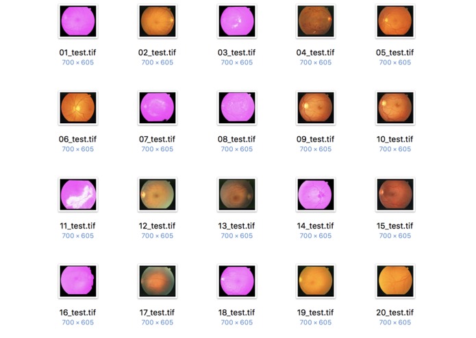 AI based Medical Diagnostic Training Platform via AWS – screenshot 1