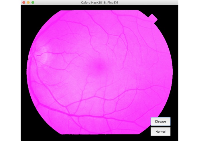 AI based Medical Diagnostic Training Platform via AWS – screenshot 2
