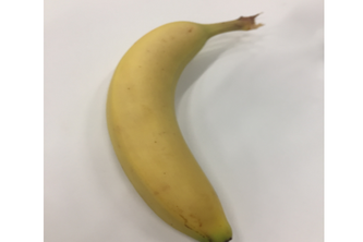 ios app Image Identification