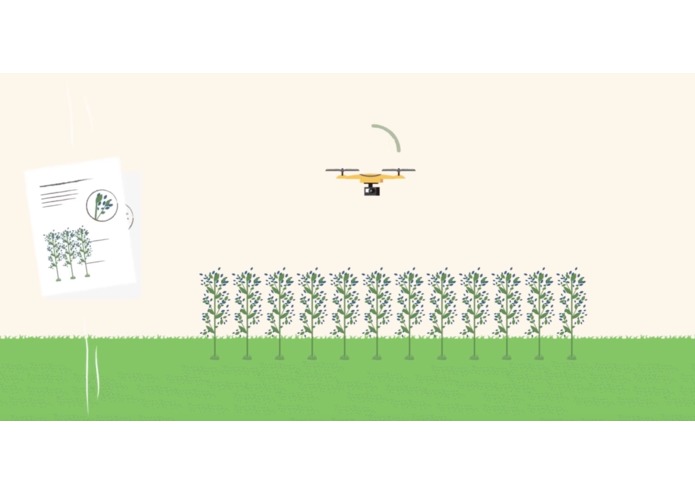 Ardy – screenshot 5