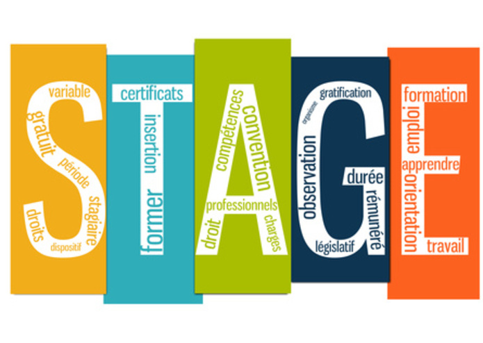 stagi – screenshot 1