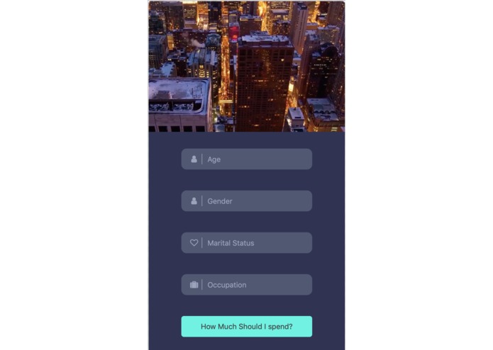 ReadyInvest – screenshot 2