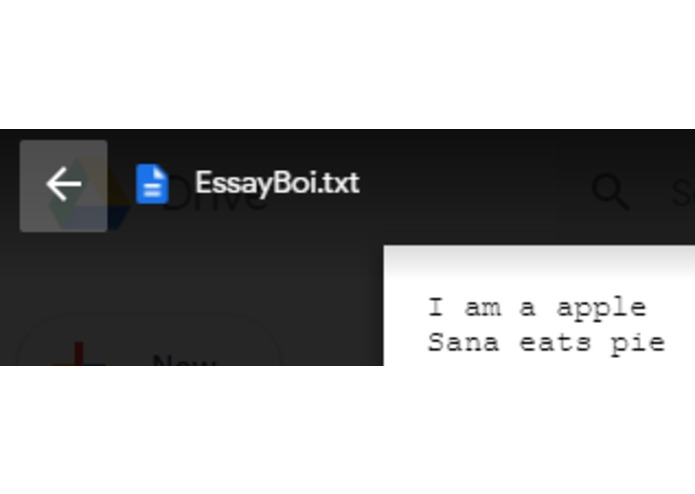 Essay Boi – screenshot 8