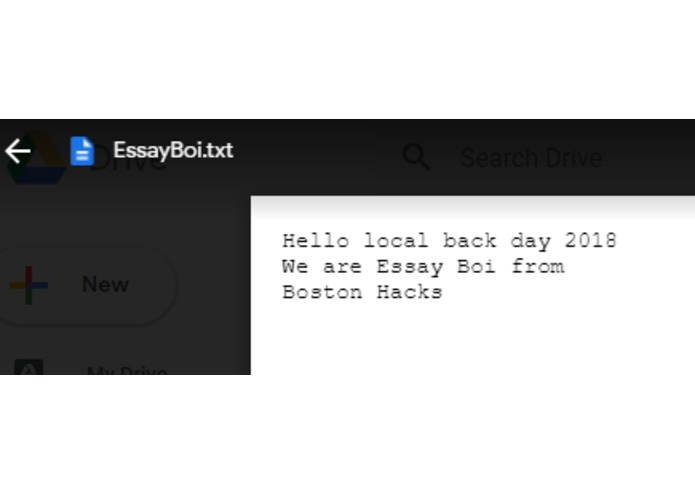 Essay Boi – screenshot 11