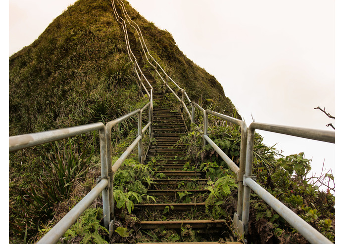 Photography & Videography – screenshot 6