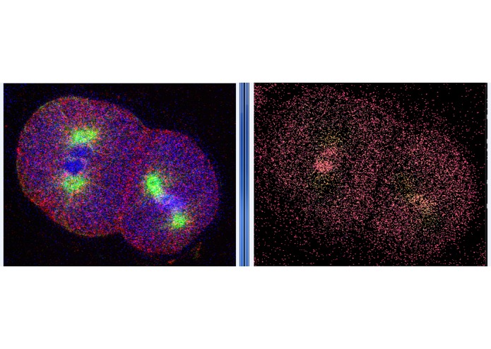 Sanguis – screenshot 2