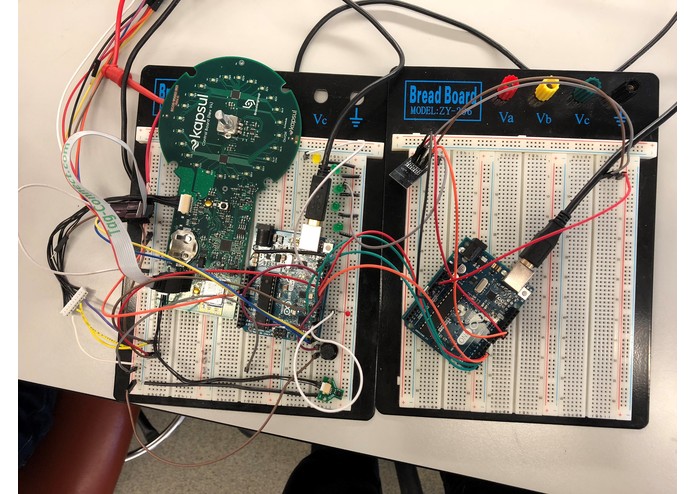 Kapsul PCB Testing Project – screenshot 1