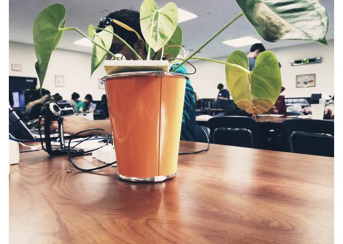 PiPlant – screenshot 16