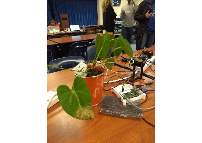 PiPlant – screenshot 2