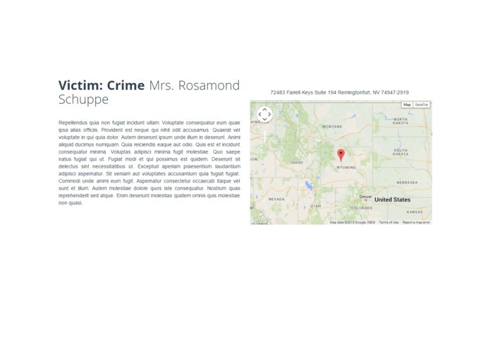 Crime Control System – screenshot 12