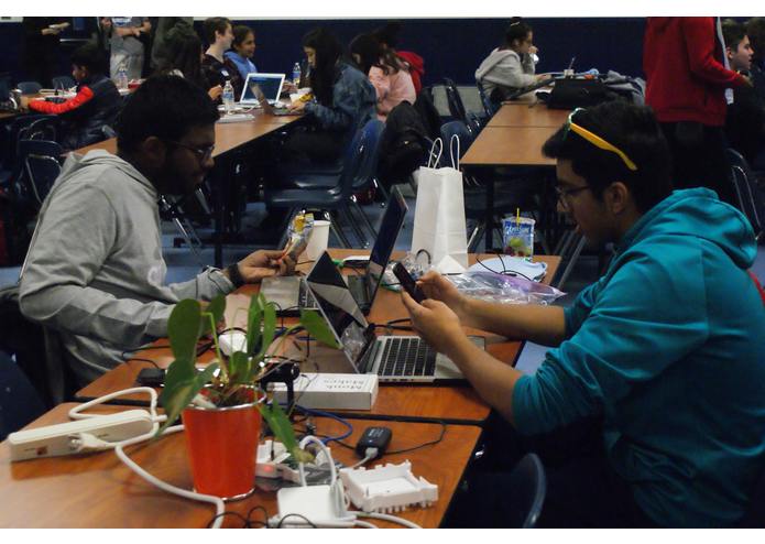 PiPlant – screenshot 7