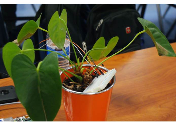 PiPlant – screenshot 19