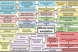 Mind upload center | Devpost