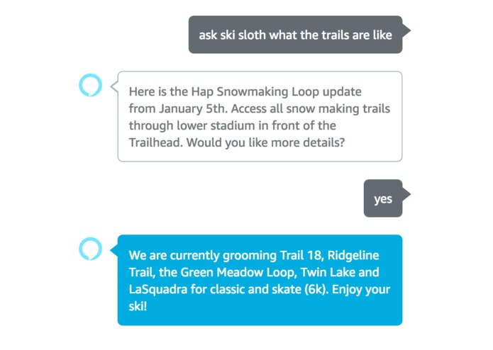Ski Sloth – screenshot 1