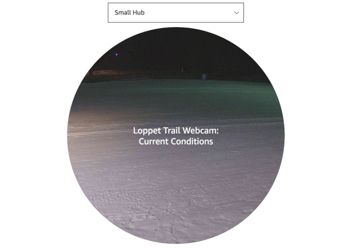 Ski Sloth – screenshot 2