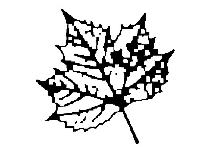 Desmos Art – screenshot 4