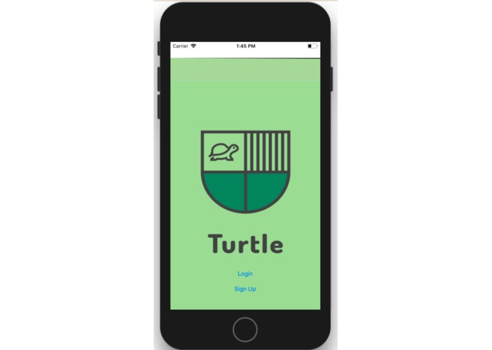 Turtle – screenshot 2