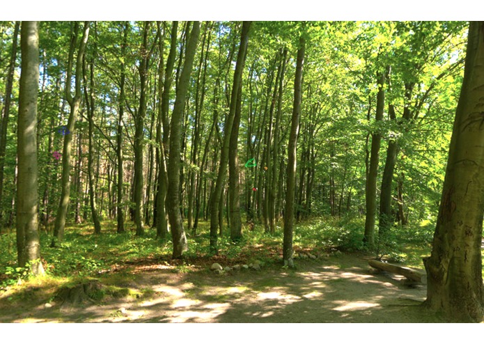 Harmony – screenshot 4