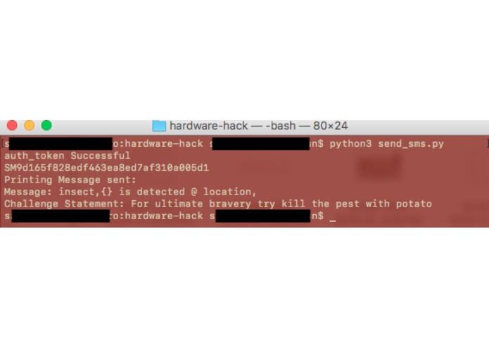 AP - Pest Overflow (470,662,802)  – screenshot 3