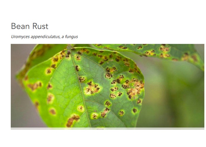 Agriot – screenshot 1