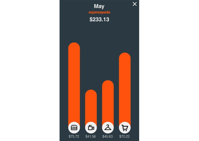 Expensepedia – screenshot 3