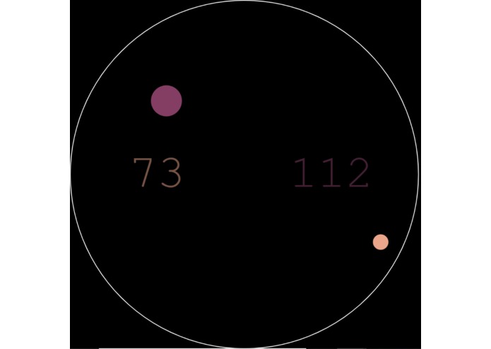 Gravity Sumo – screenshot 2