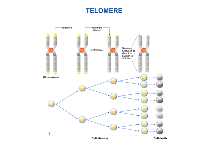 Seer – screenshot 2