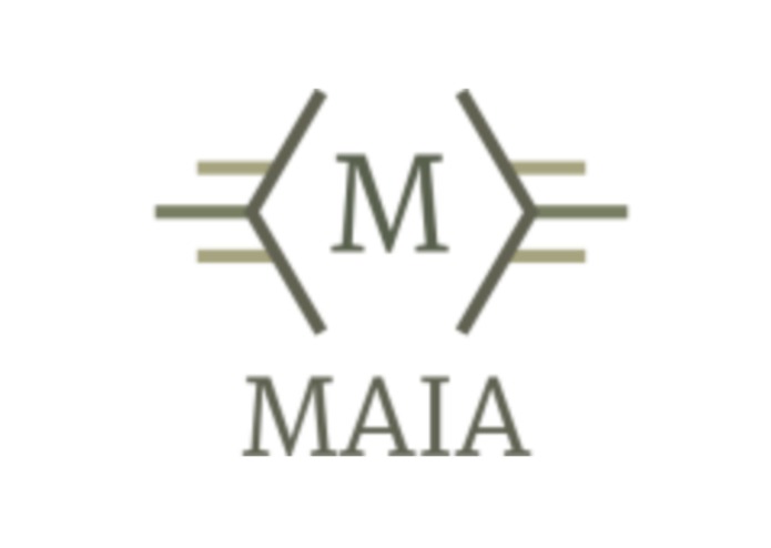 MAIA (Team: llalqll) – screenshot 1