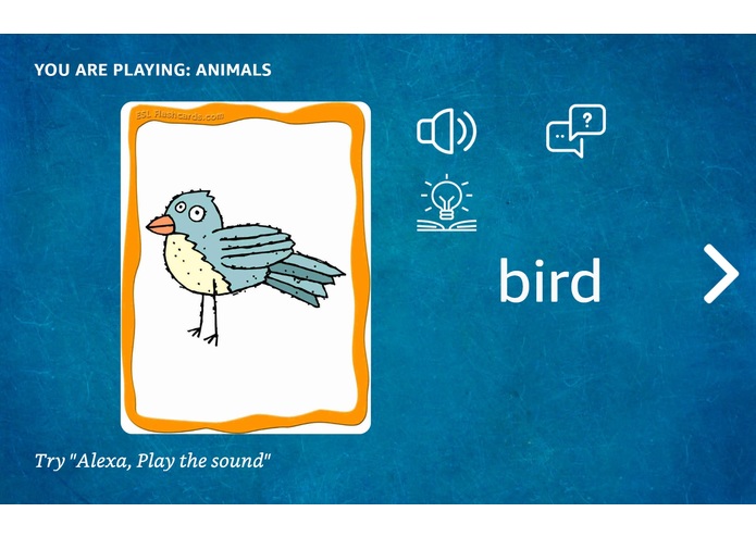 Alexa Flash Cards – screenshot 4
